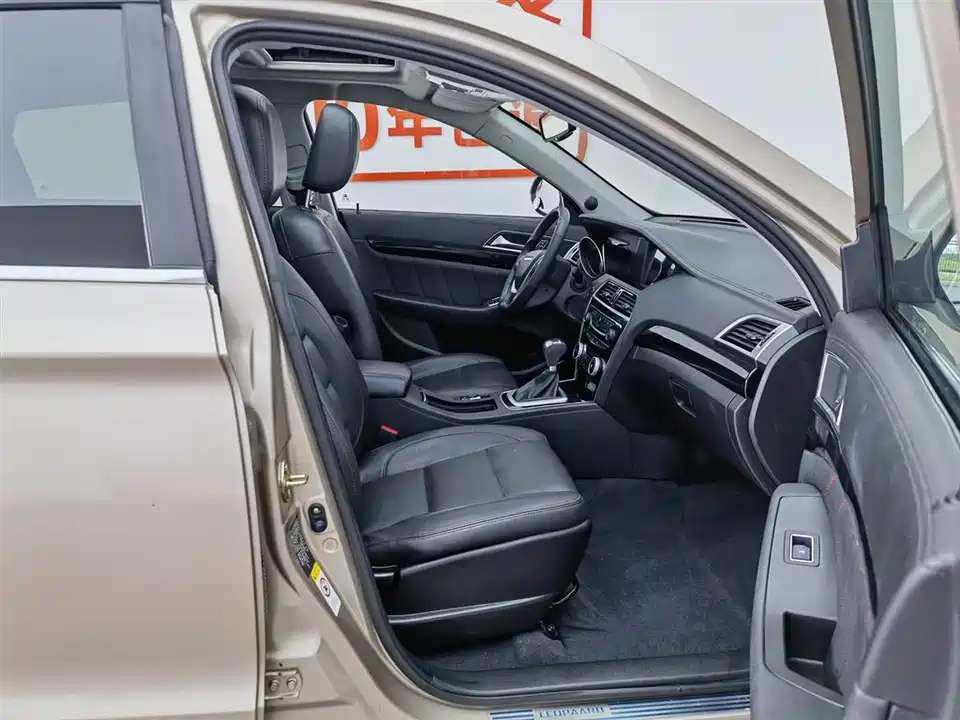 Leopaard Cheetah CS10