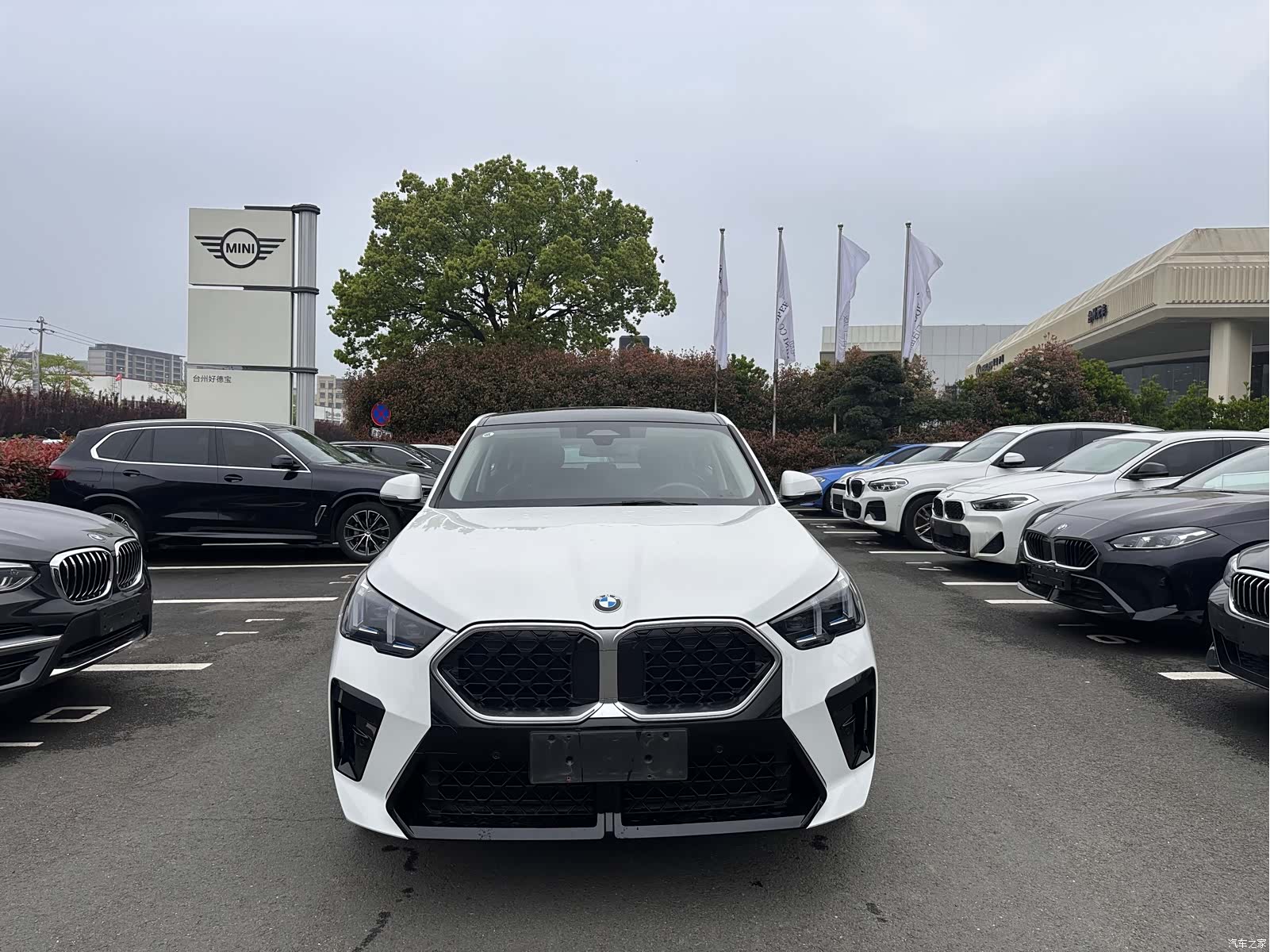 BMW X2, 2025 2
