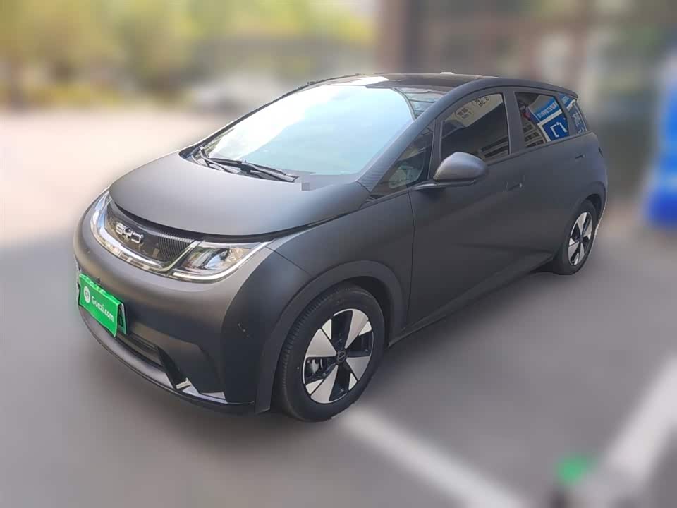 BYD dolphin