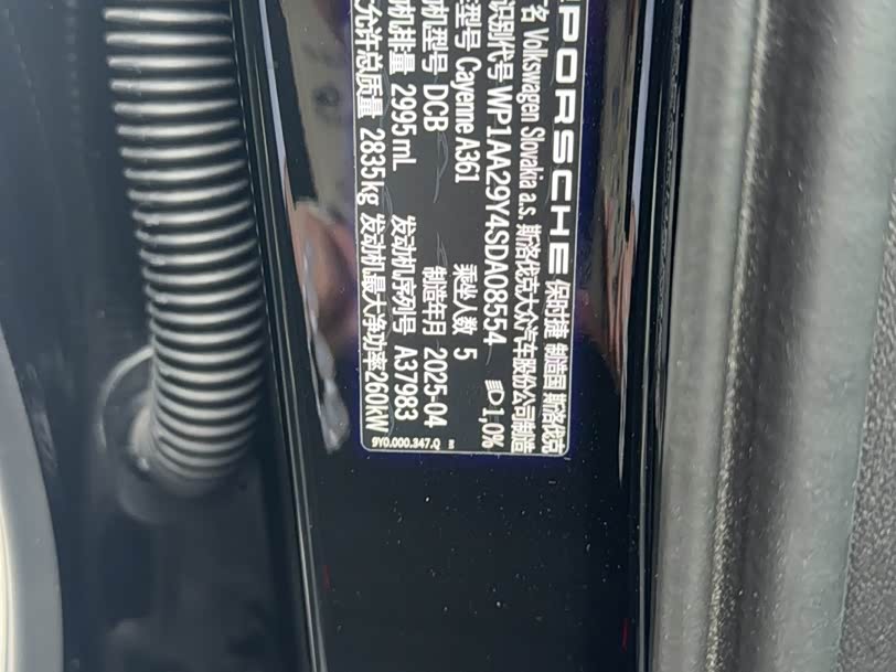 Porsche Cayenne 2025, фото 14