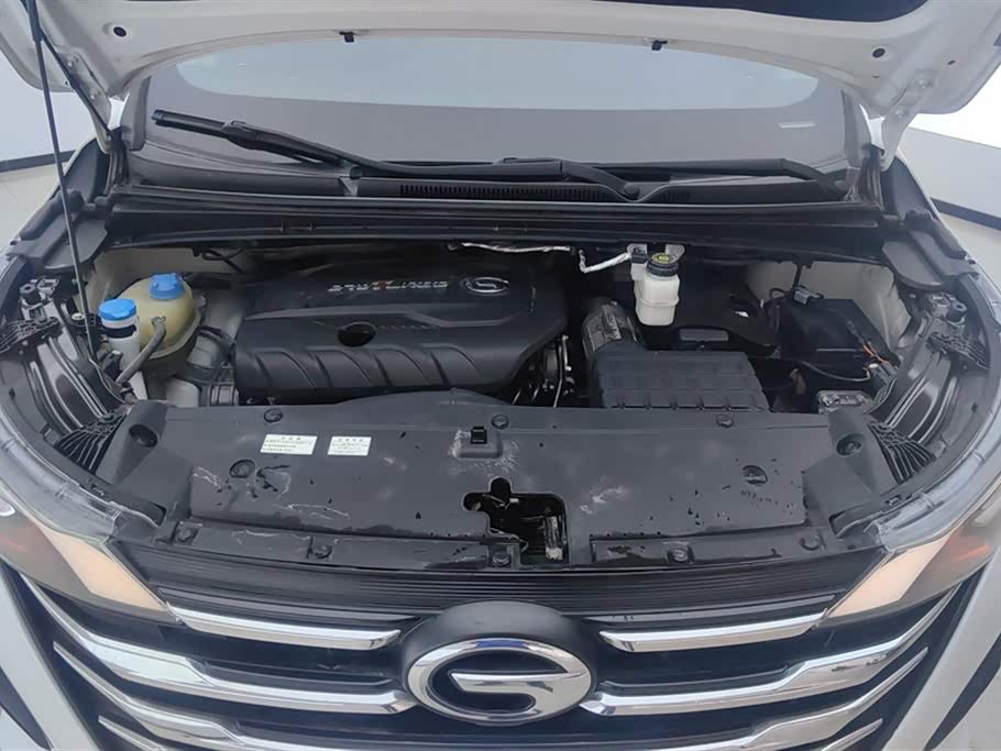 Trumpchi Trumpchi M6