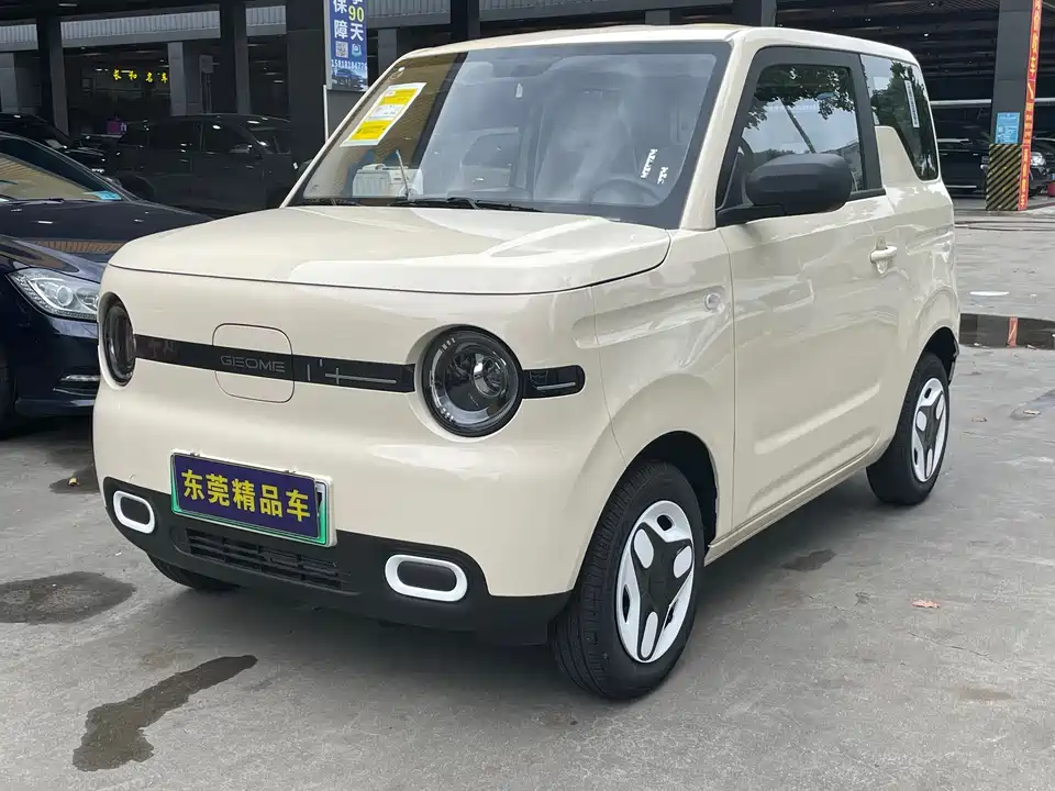 Geely Galaxy panda