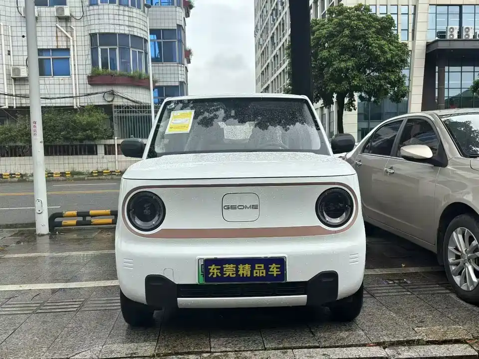 Geely Galaxy panda