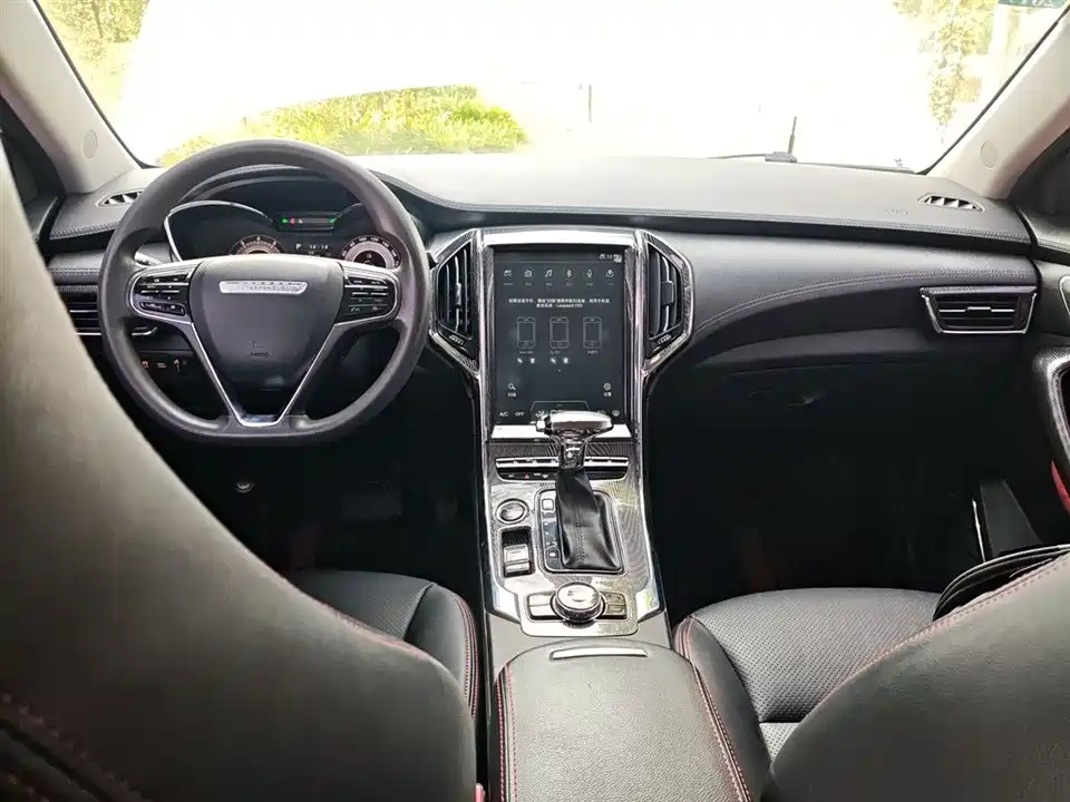 Leopaard Cheetah CS9