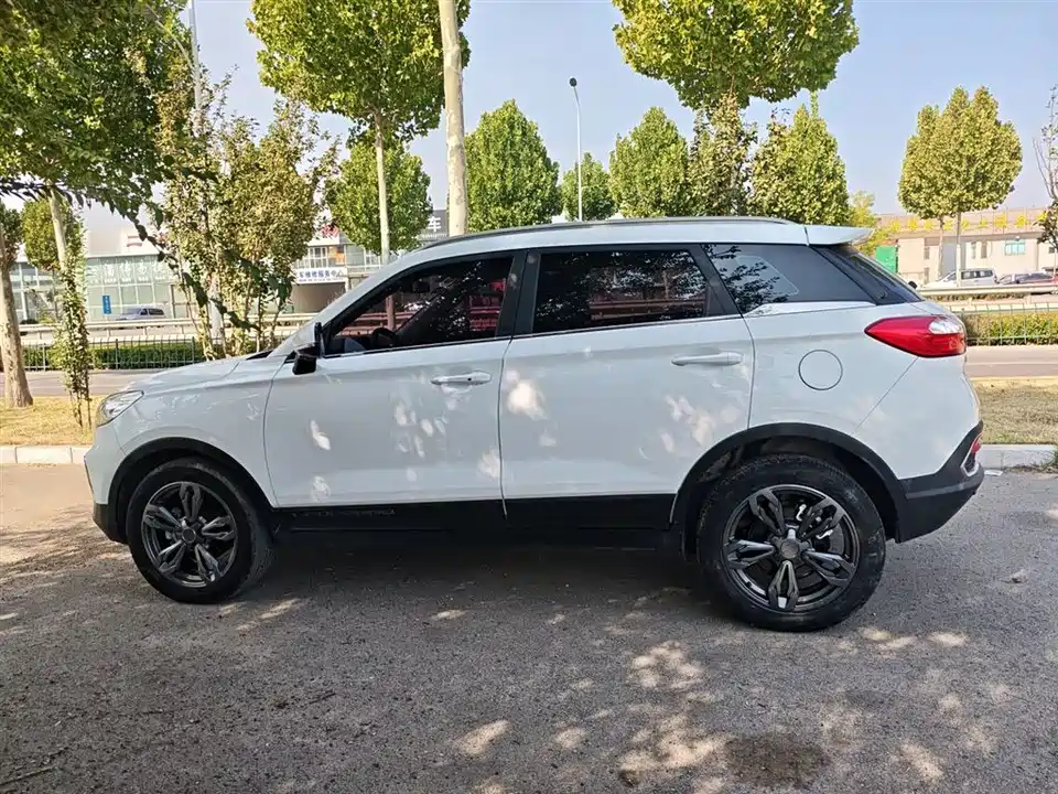 Leopaard Cheetah CS9