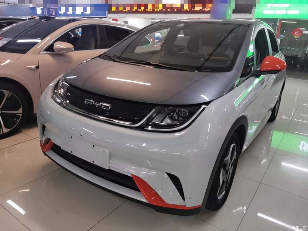 BYD Dolphin, 2022 1