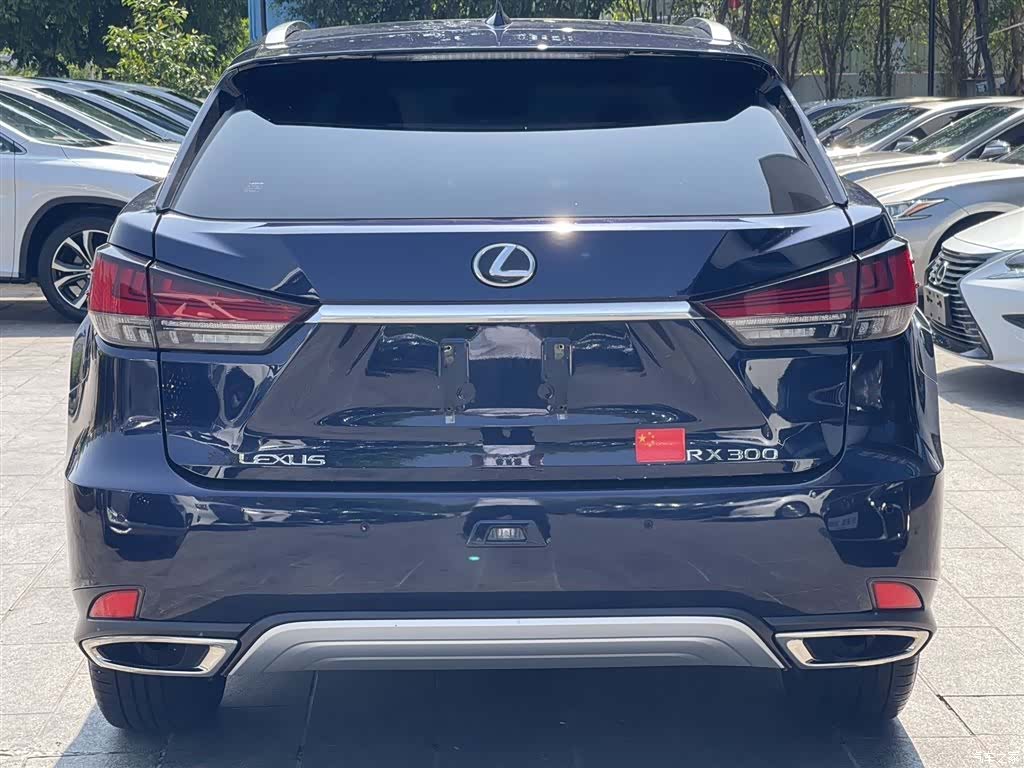 Lexus RX, 2022 все фото