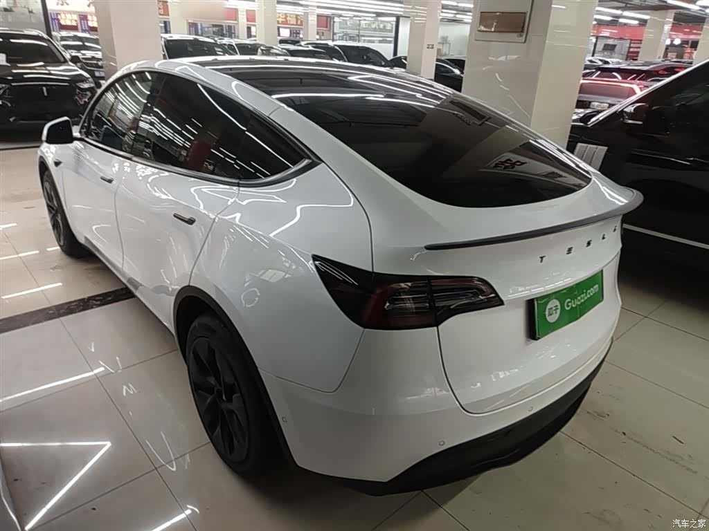 Tesla Model Y, 2022 все фото