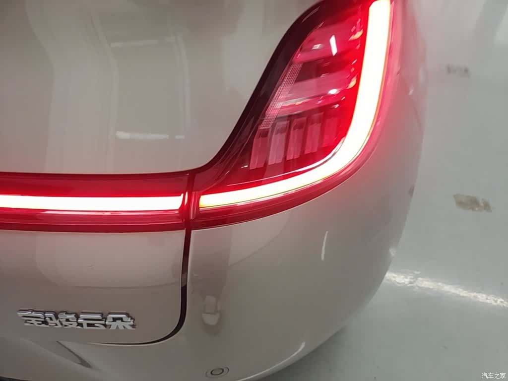 Wuling 460, 2023 8