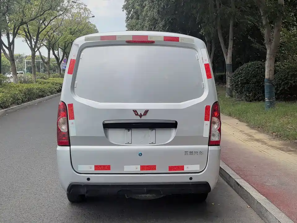 Wuling Wuling EV50