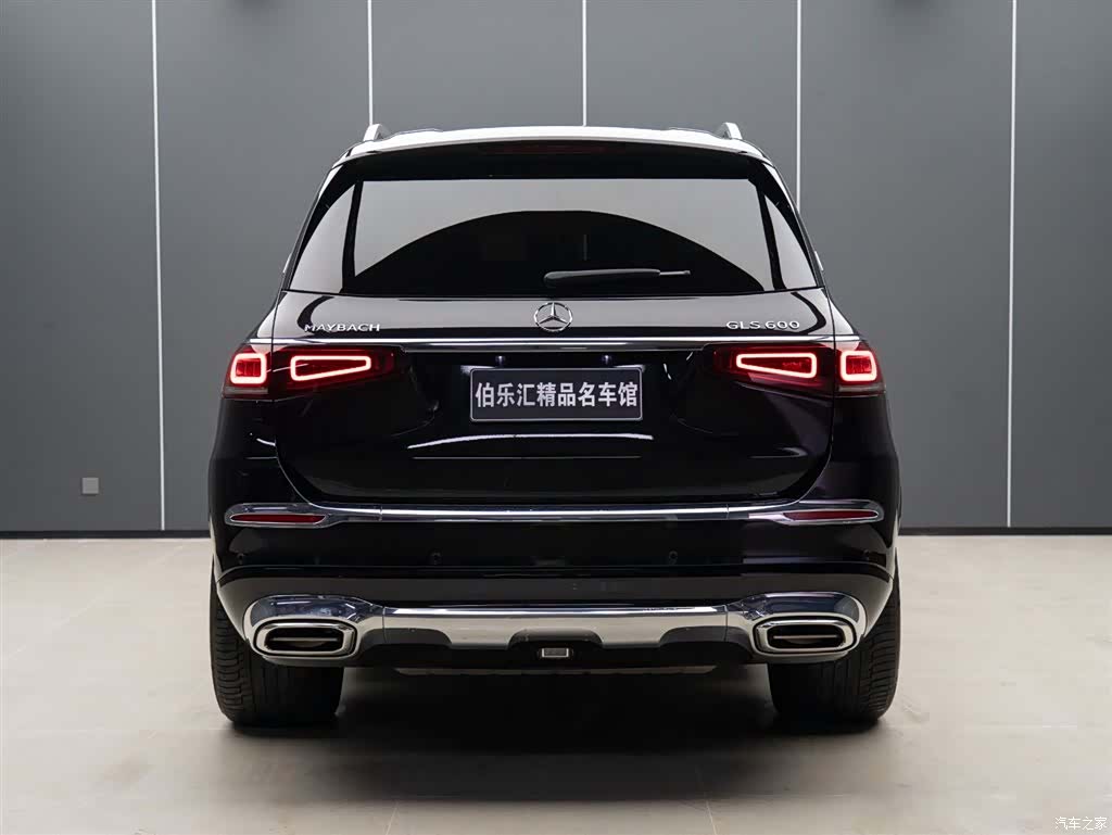 Maybach GLS, 2021 6