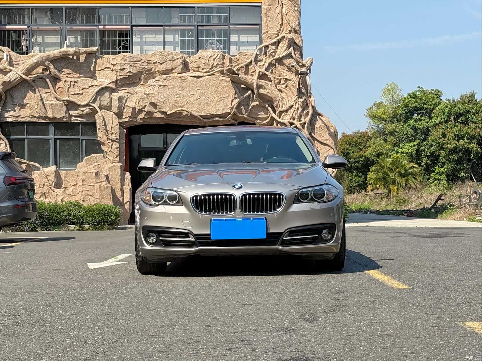 BMW 5 Series, 2015 все фото