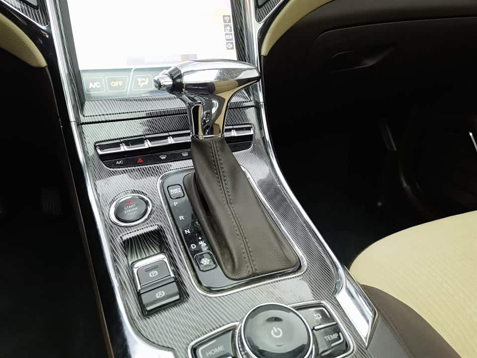 Leopaard Cheetah CS9