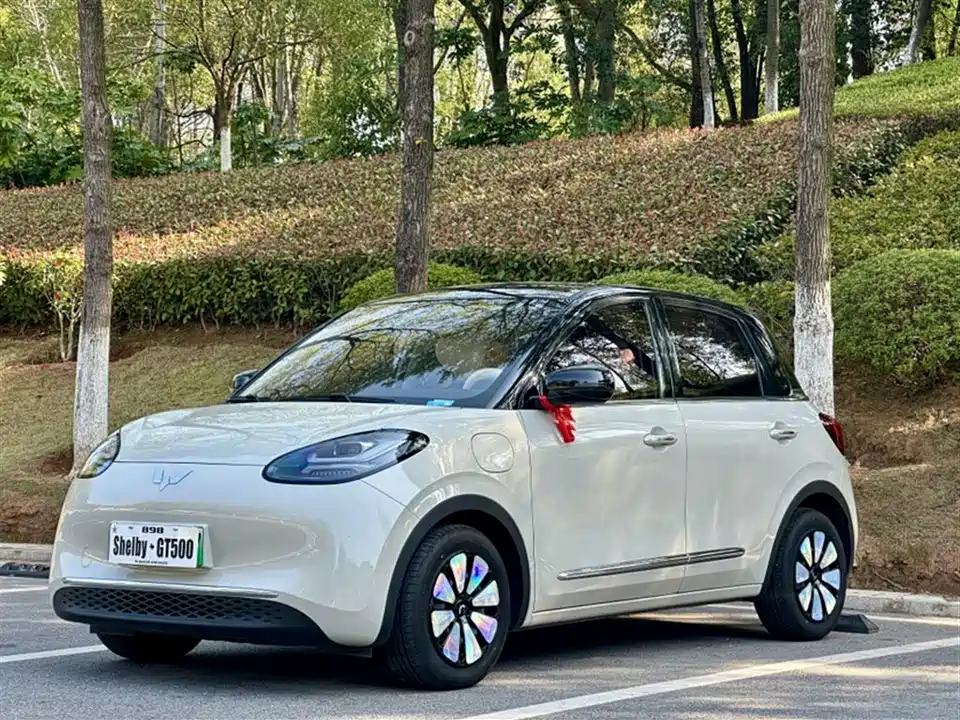 Wuling Wuling Bingguo