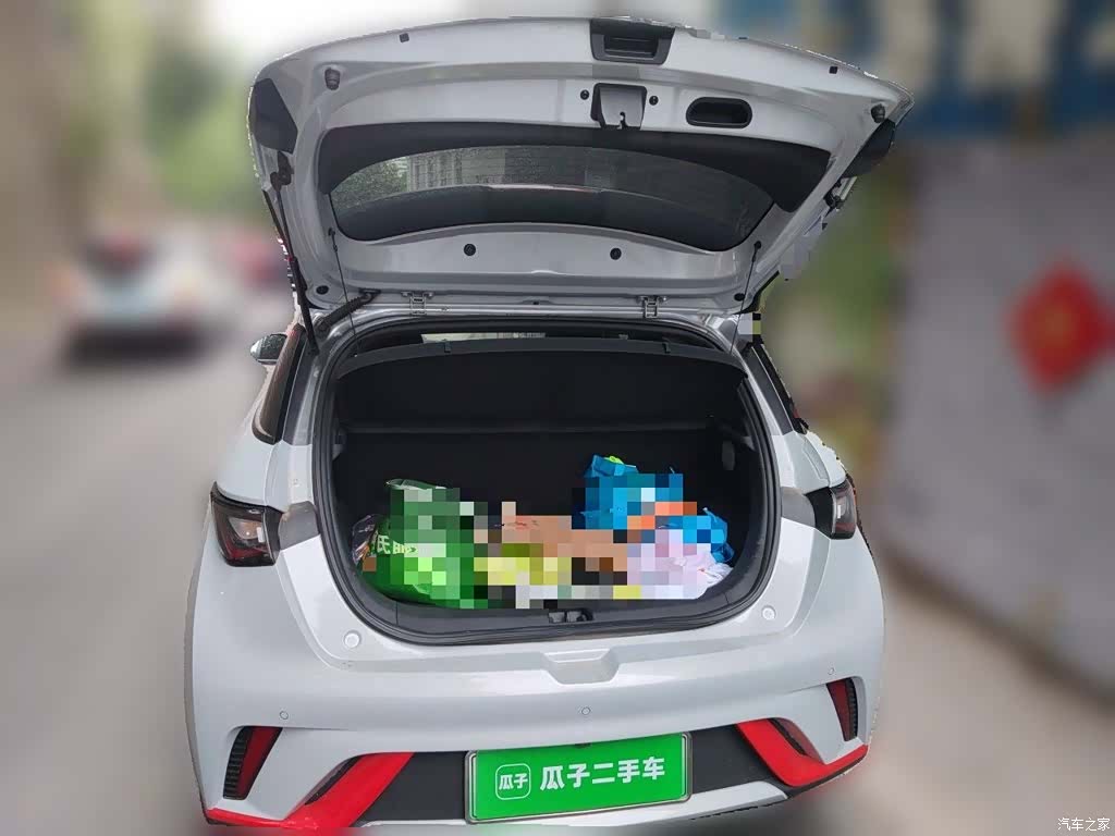 BYD Dolphin, 2023 10
