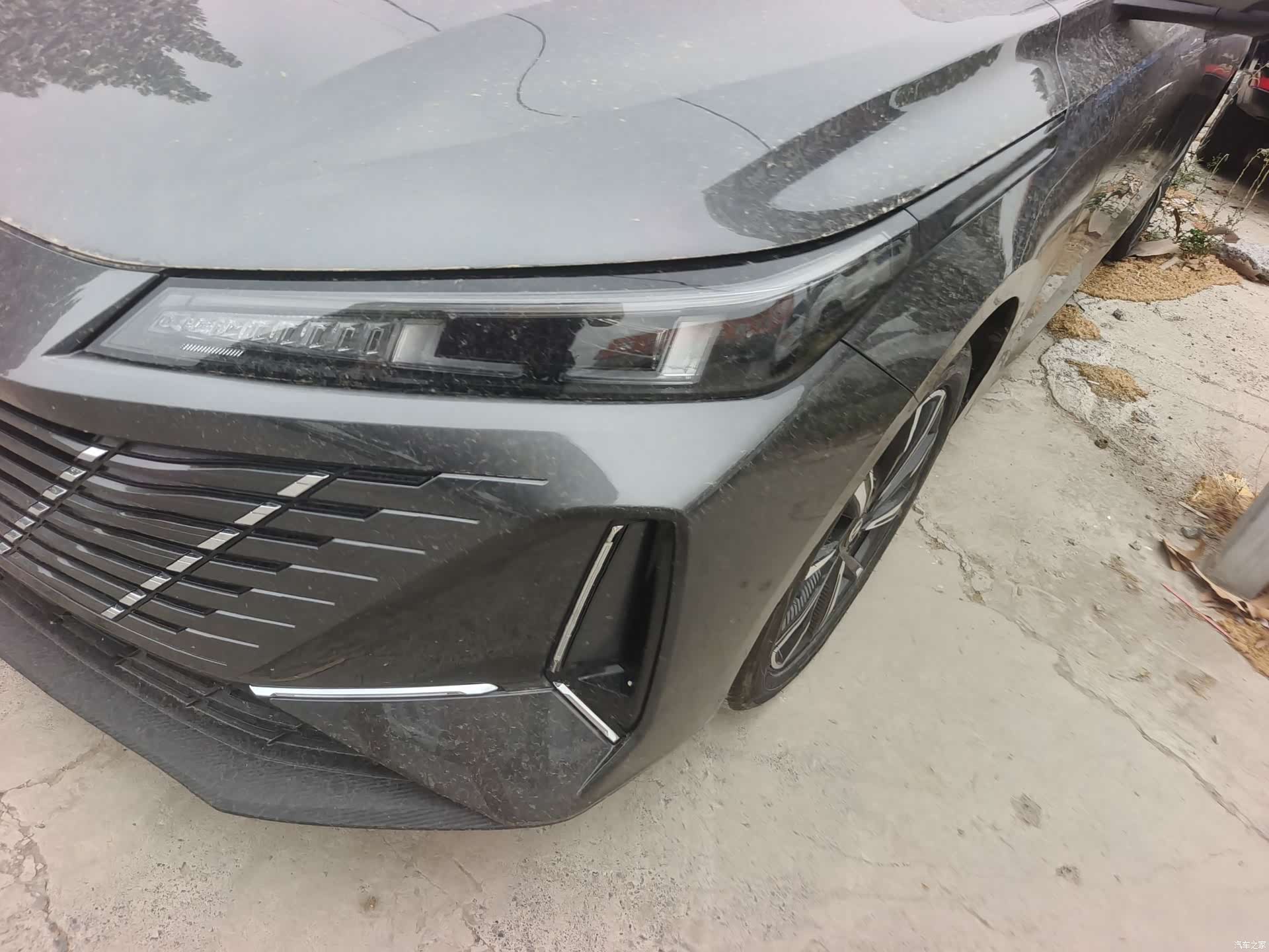 Changan Eado, 2025 все фото