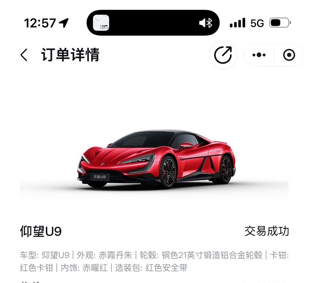 Yangwang U9, 2025 45