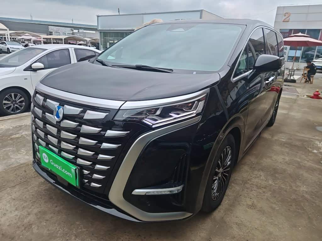 Denza D9