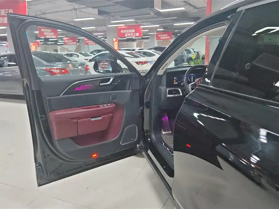 Hongqi E-HS9