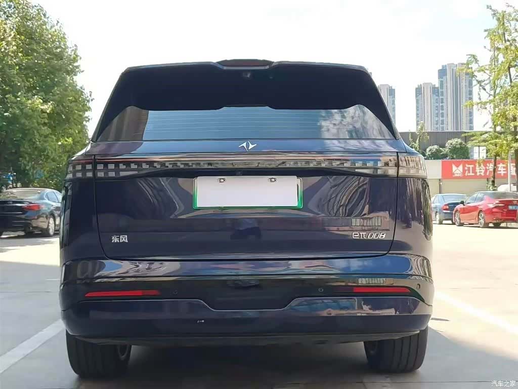 DongFeng eπ008, 2024 8