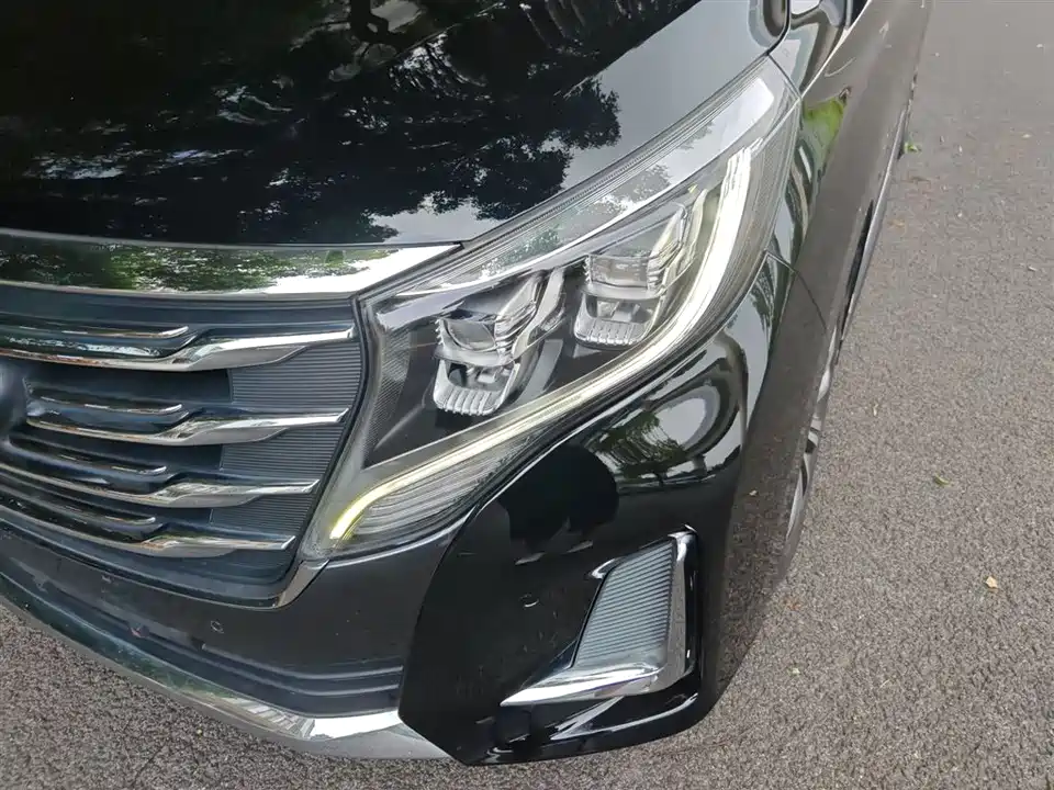 Trumpchi Trumpchi M8