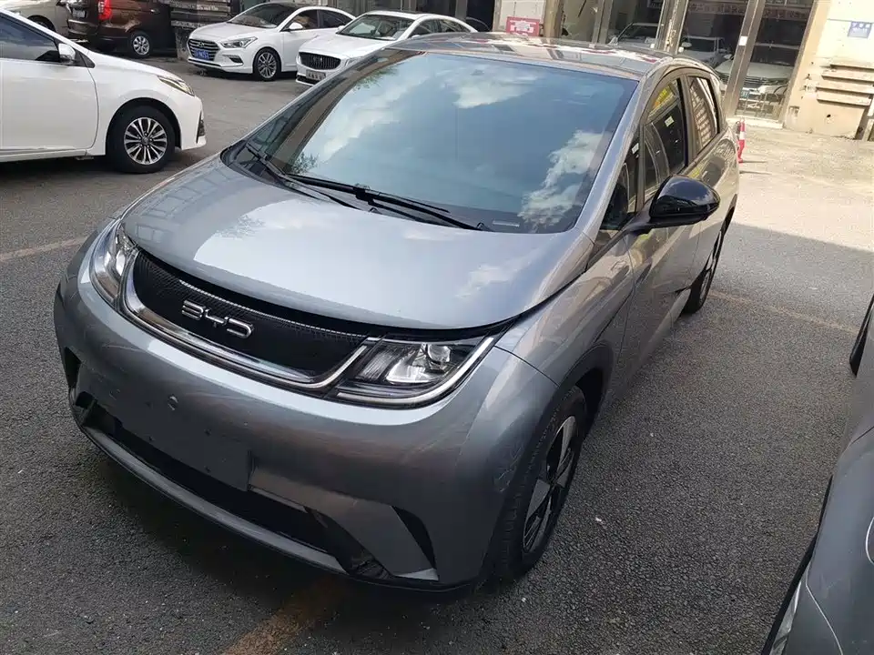 BYD dolphin