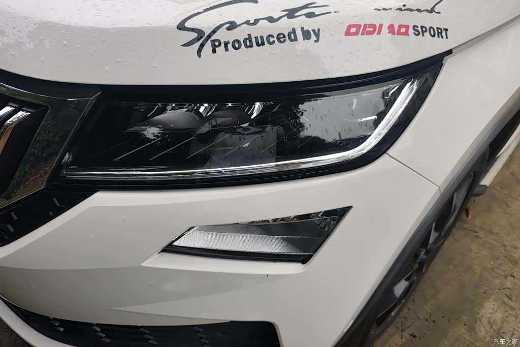 Skoda Kodiaq, 2020 все фото