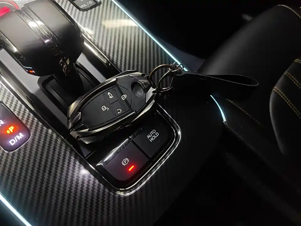 Trumpchi Shadow Leopard