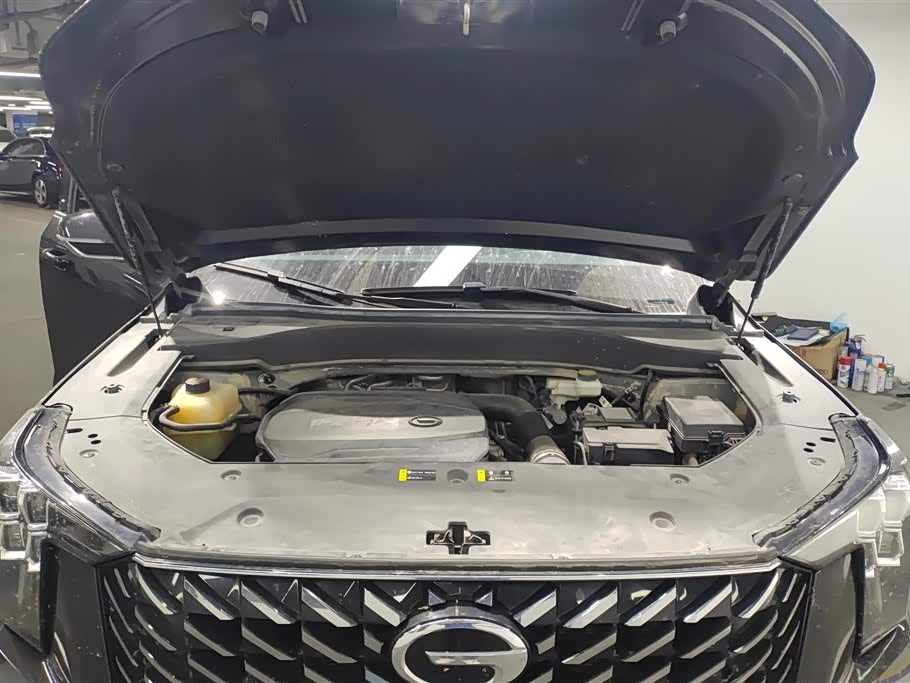 Trumpchi Trumpchi GS8