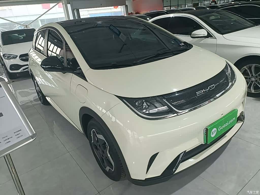 BYD Dolphin, 2022 4