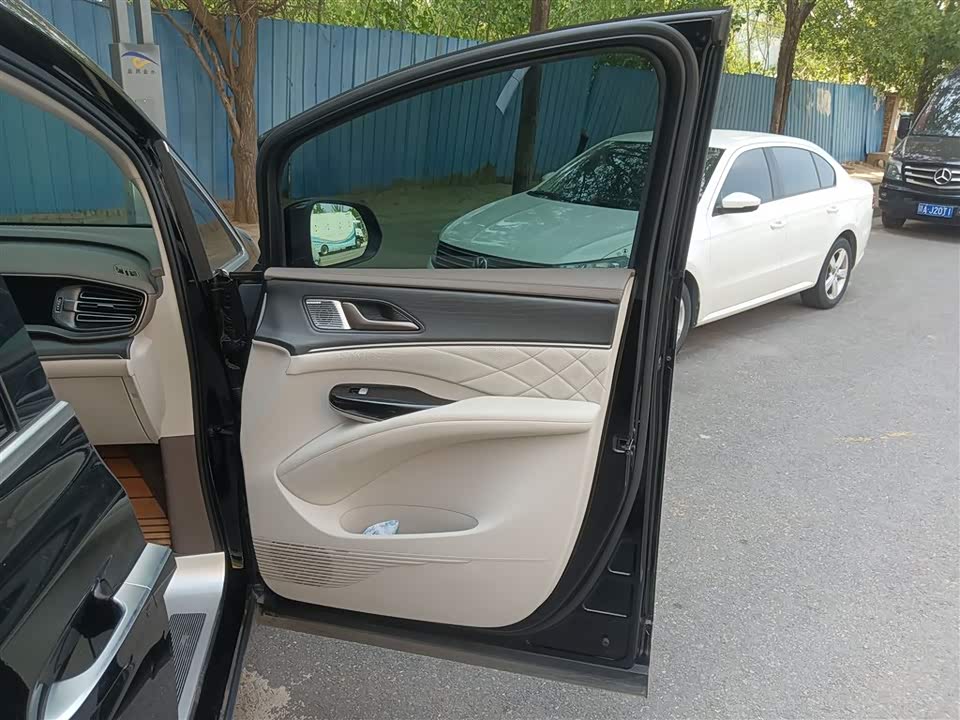 Denza D9 Denza D9