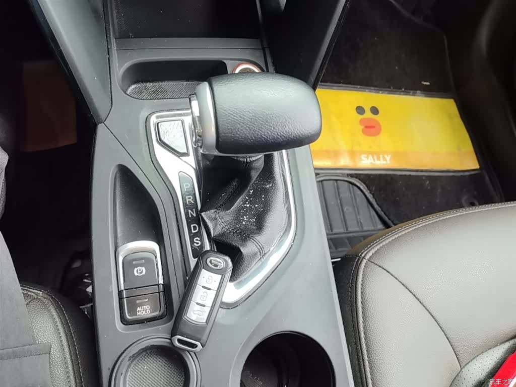 GAC GS4, 2017 14