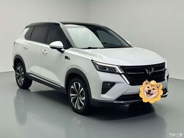 Wuling DHT, 2024 3