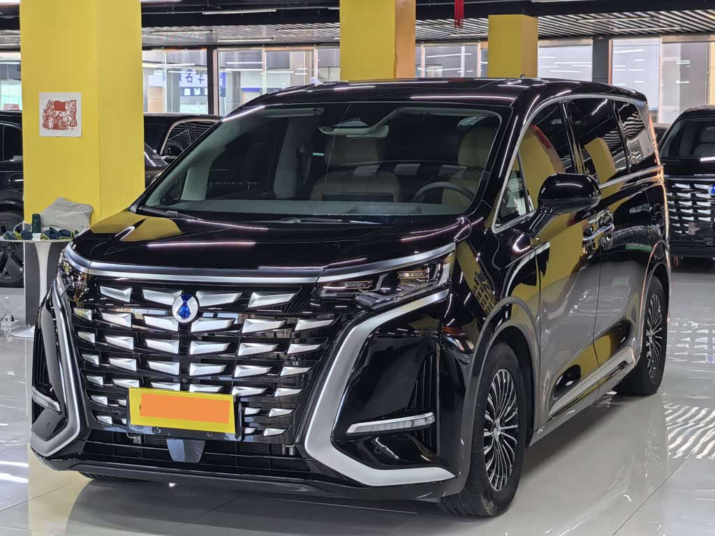 Denza D9