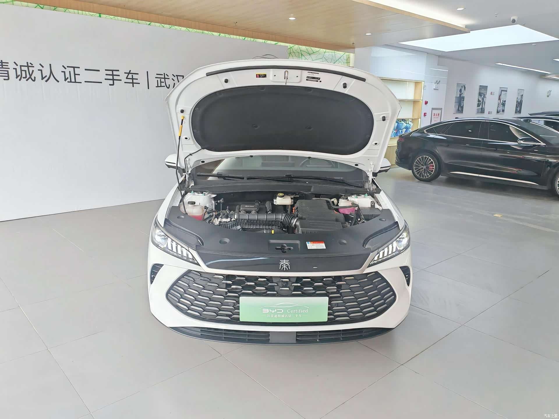 BYD Qin, 2025 18