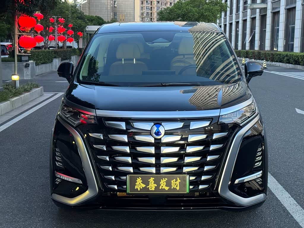 Denza D9
