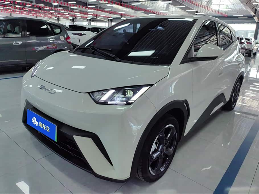 BYD Seagull