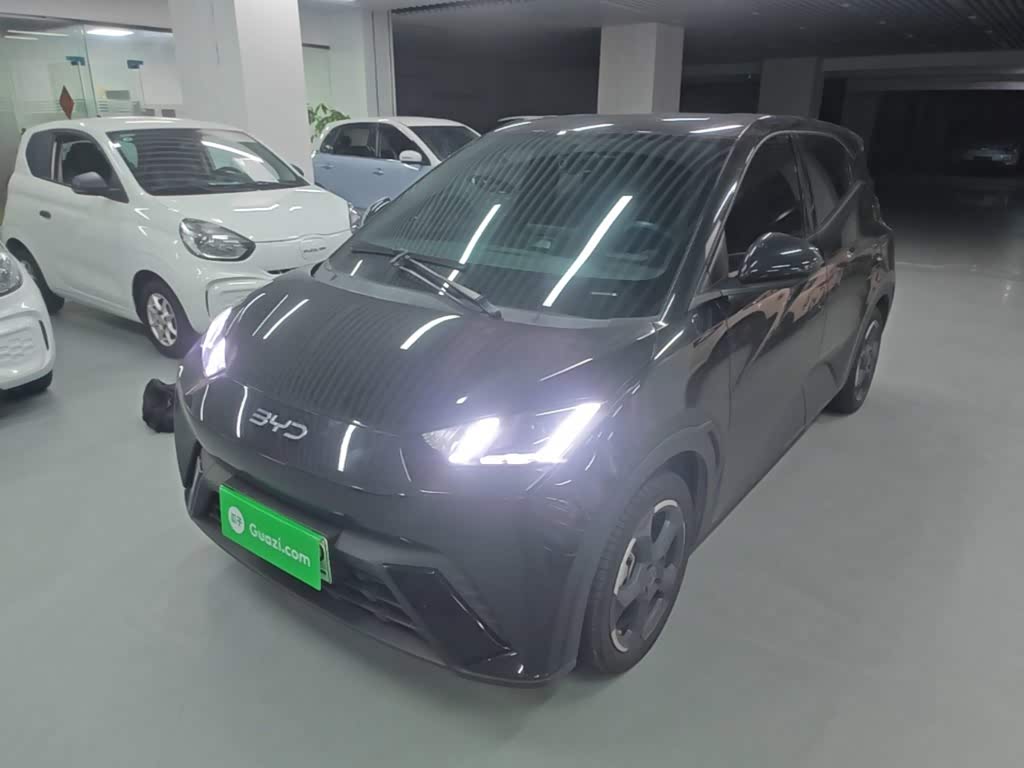 BYD Seagull