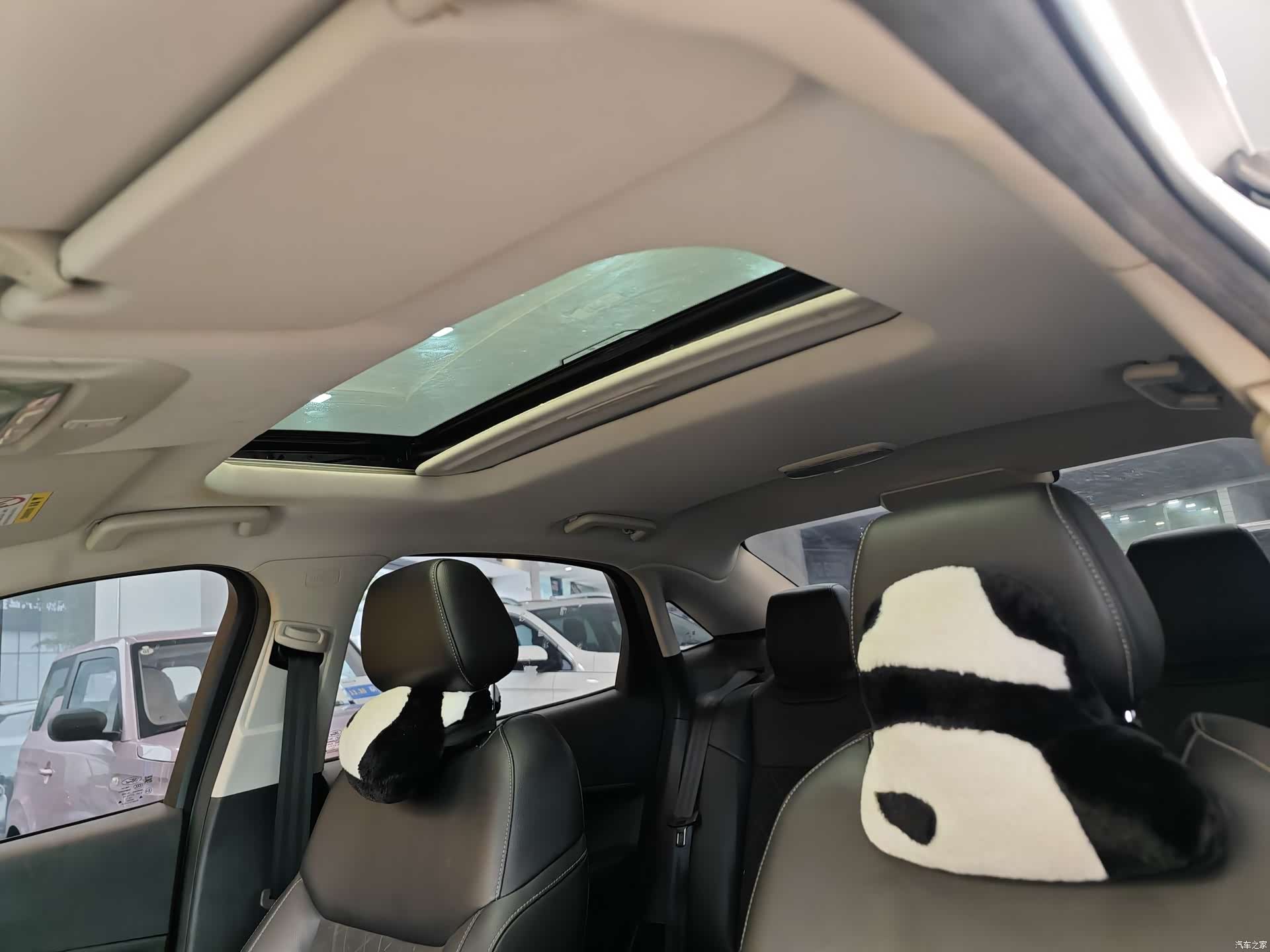Ford V, 2019 13
