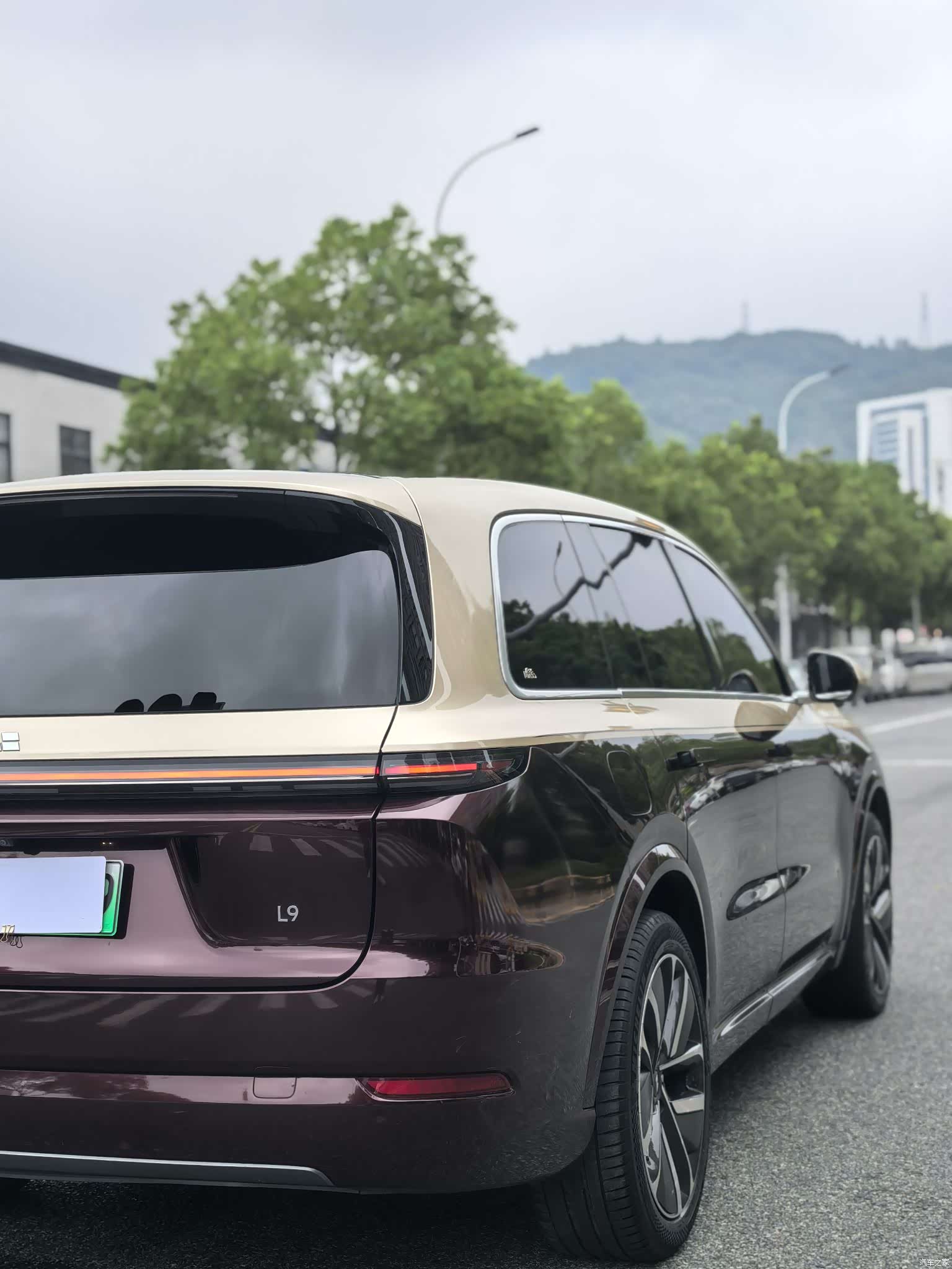 Li Auto L9, 2023 8