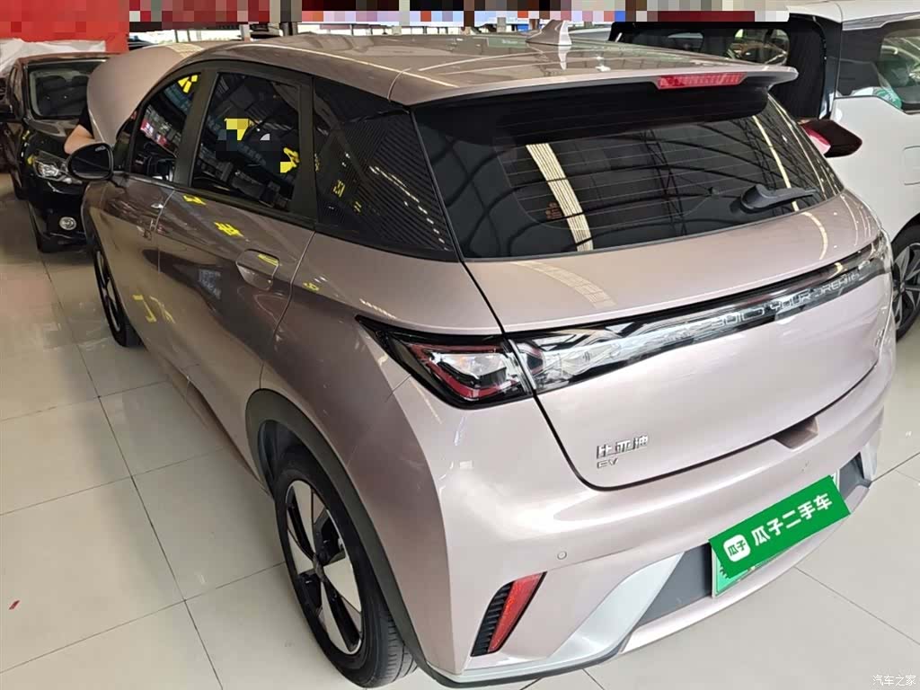 BYD Dolphin, 2023 все фото