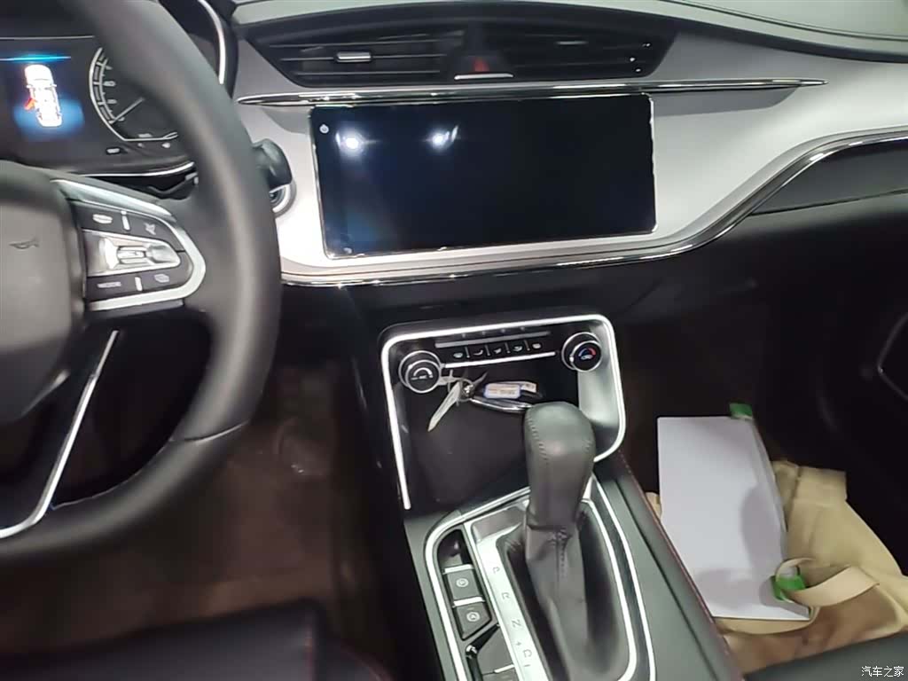 Geely Binray, 2020 13