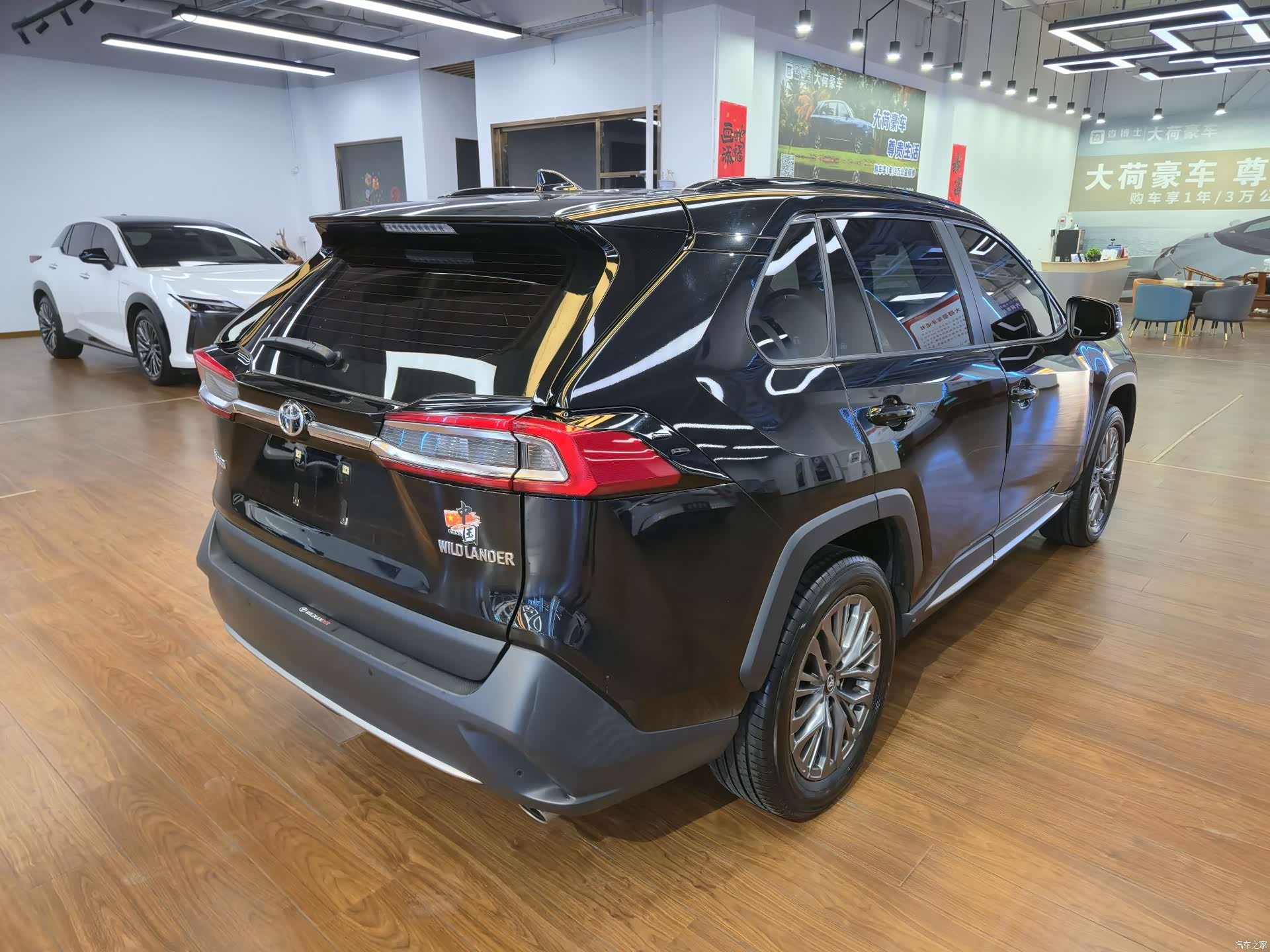 Toyota Wildlander, 2024 все фото
