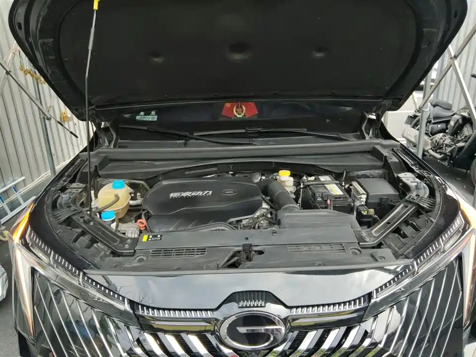 Trumpchi Shadow cool