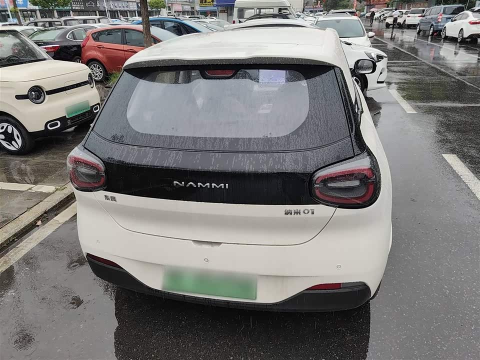 Dongfeng Nammi Nano 01