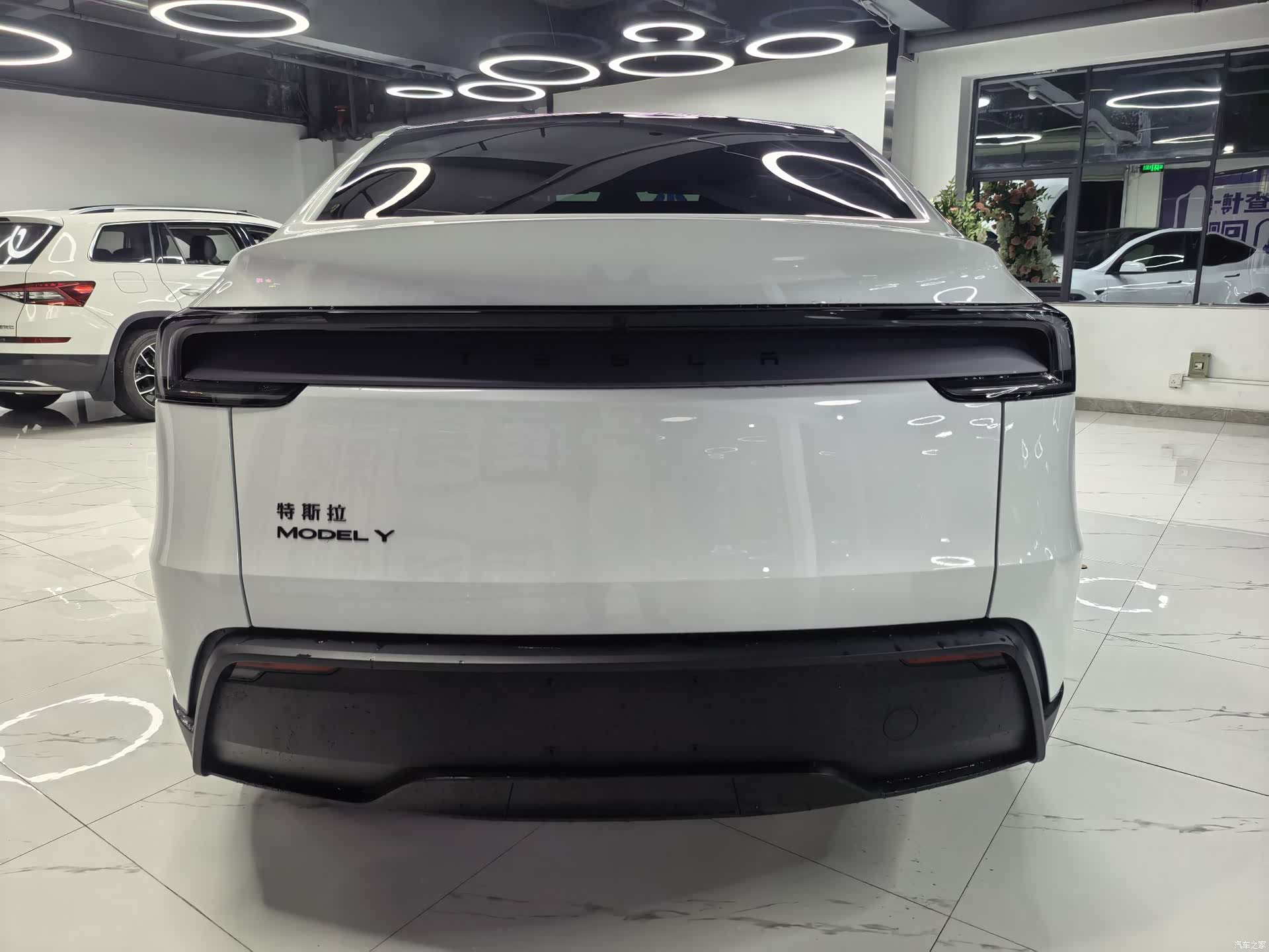 Tesla Model Y, 2026 все фото