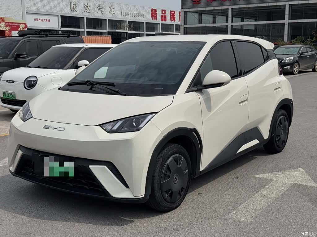 BYD Seagull, 2024 1