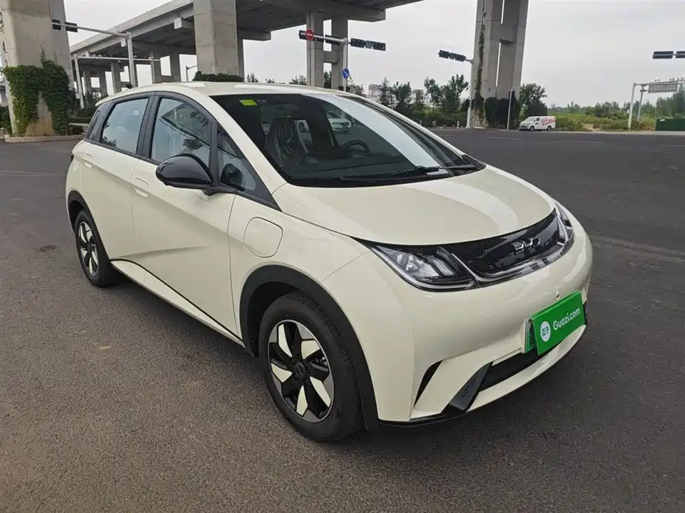 BYD dolphin
