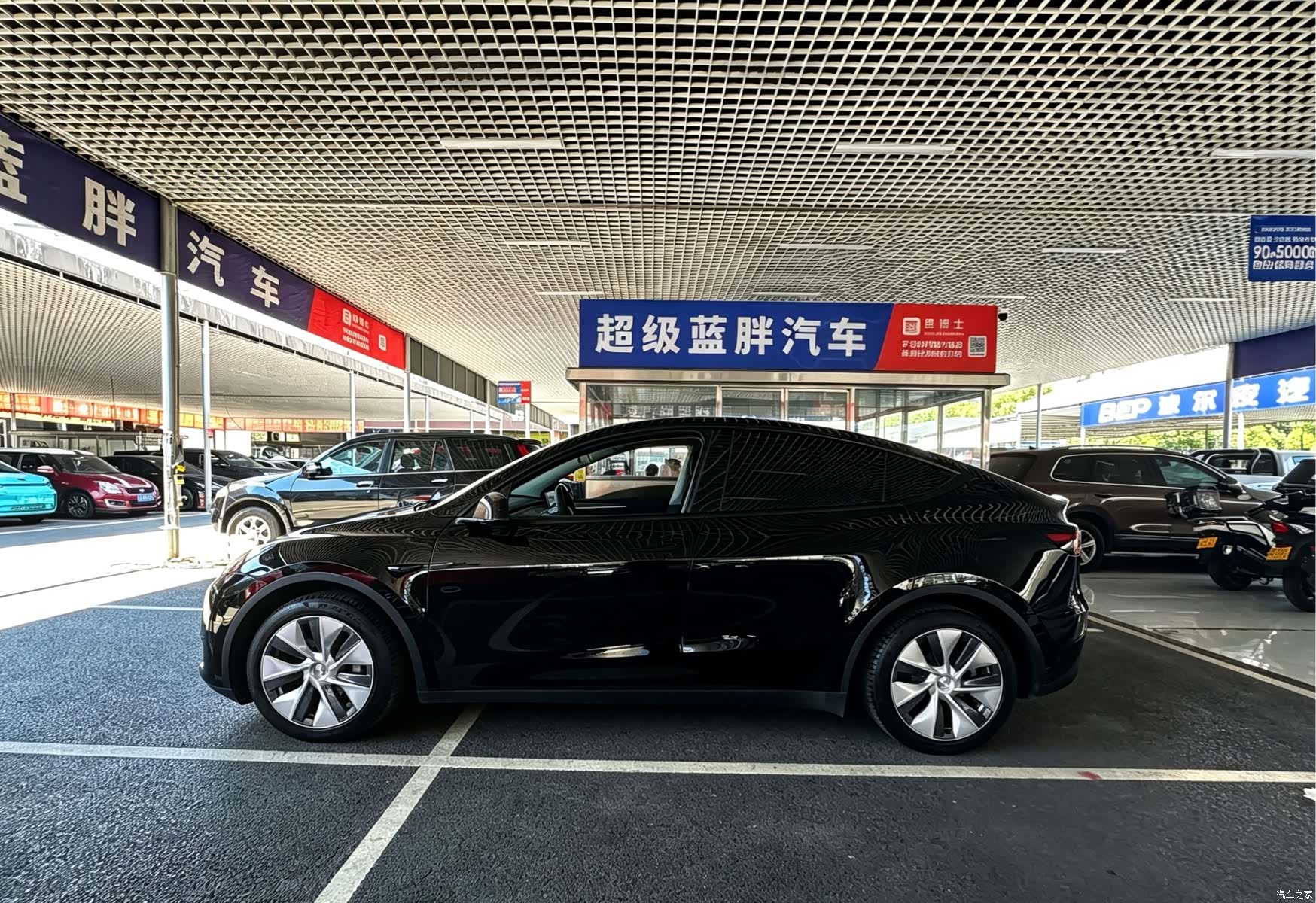 Tesla Model Y, 2023 все фото