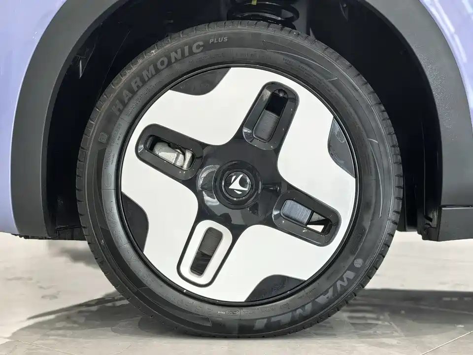 ARCFOX Polar fox koala